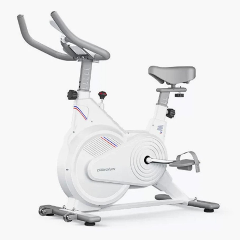 Home Gym Rig - 室内固定式スピンバイク、静音磁気抵抗エクササイズバイク（LCDモニター付き）、ホームジム有酸素運動器具