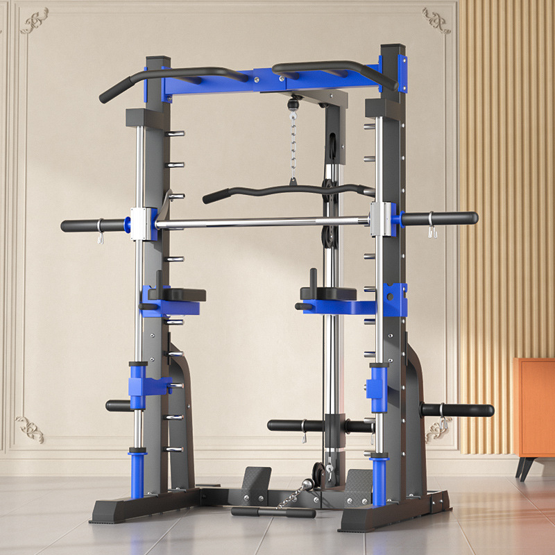 Home Gym Setup - 多機能ホーム総合トレーニング機器 ガントリーフレーム バードスクワット ベンチプレスフレーム 統合フィットネス