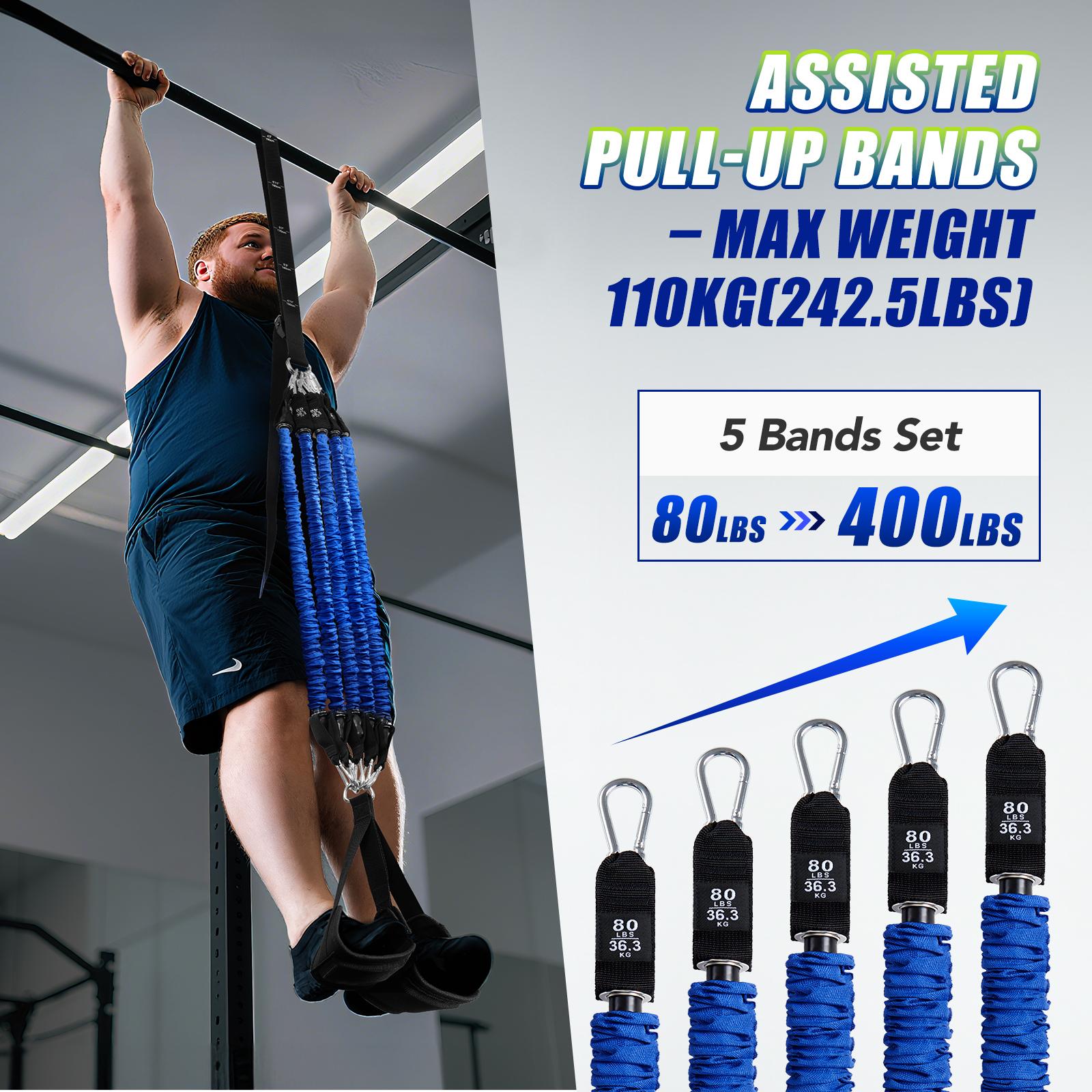 ヘビーデューティー懸垂補助バンドセット 4x80ポンド 調節 - Home Gym Rig のレビューと価格