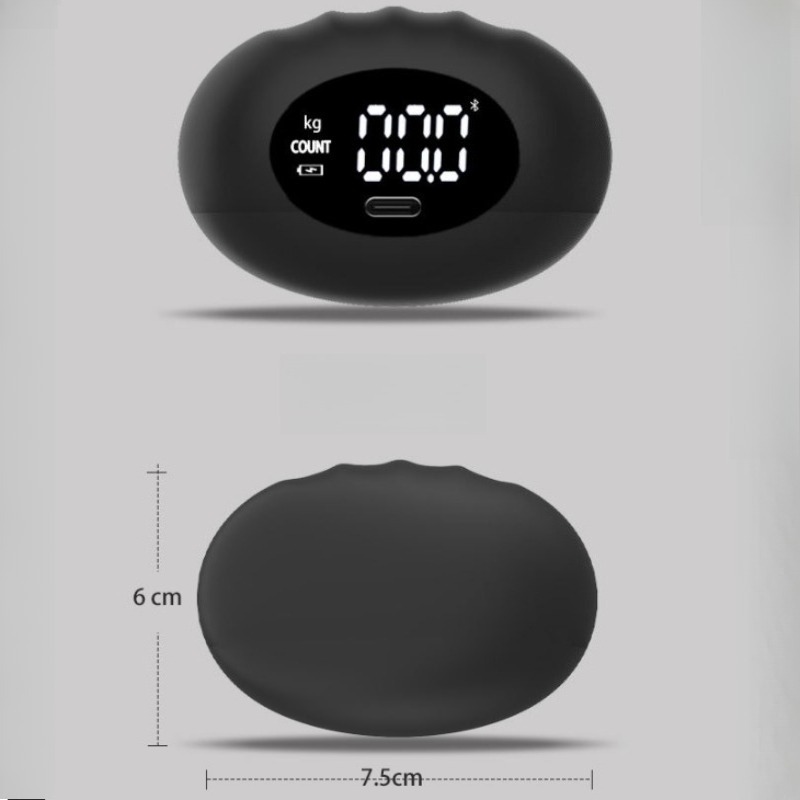 人間工学に基づいた 180kg デジタルハンドダイナモメータ - Home Gym Rig のレビューと価格