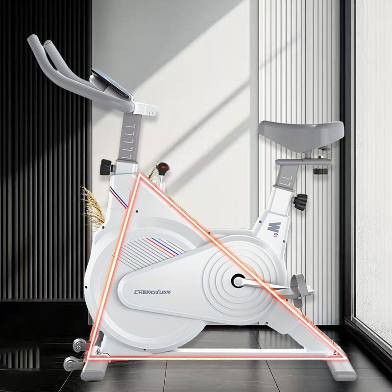 室内固定式スピンバイク、静音磁気抵抗エクササイズバイク（LC - Home Gym Rig のレビューと価格