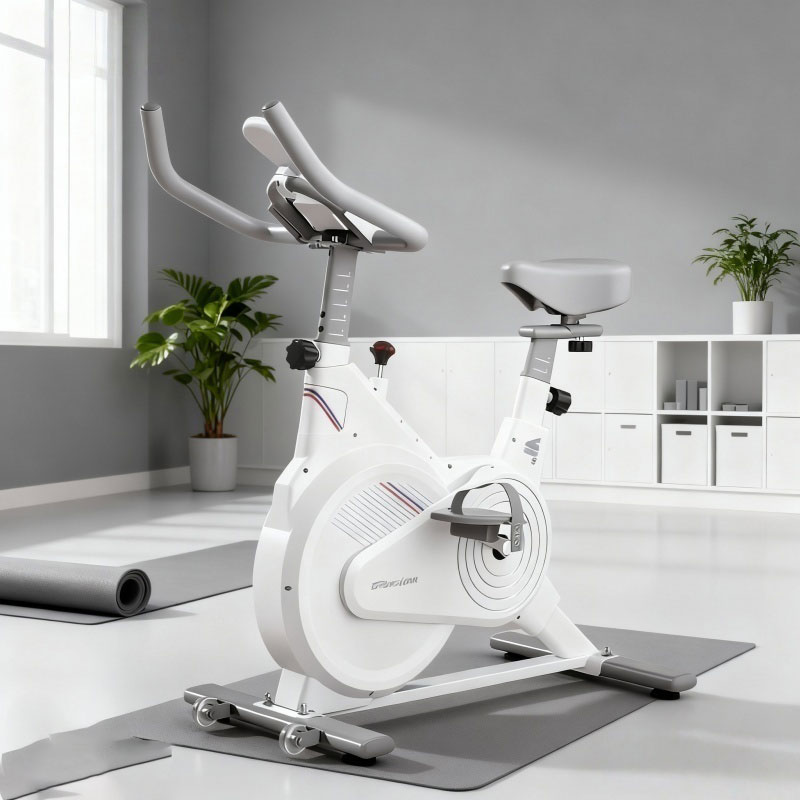 室内固定式スピンバイク、静音磁気抵抗エクササイズバイク（LC - Home Gym Rig のレビューと価格
